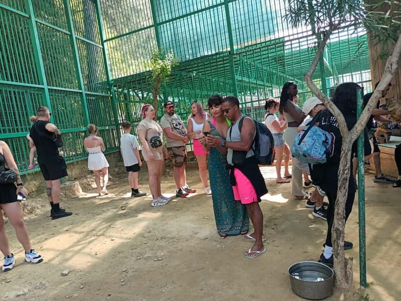 From Alanya: Lion Safari & Green Canyon Splash Feast w/Lunch - Gözleme, foam, and a second change of pace