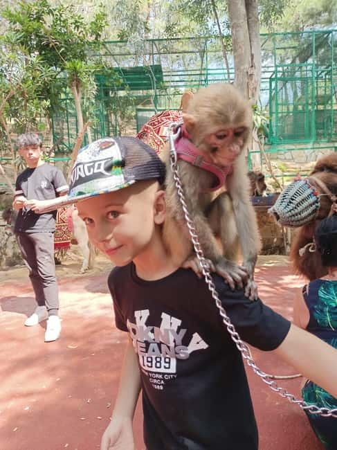 From Alanya: Lion Safari & Green Canyon Splash Feast w/Lunch - The lakeside BBQ lunch