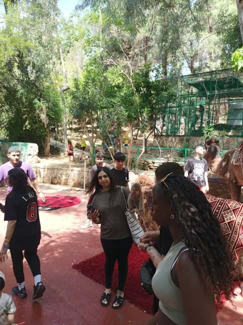 From Alanya: Lion Safari & Green Canyon Splash Feast w/Lunch - What the guides and transport add