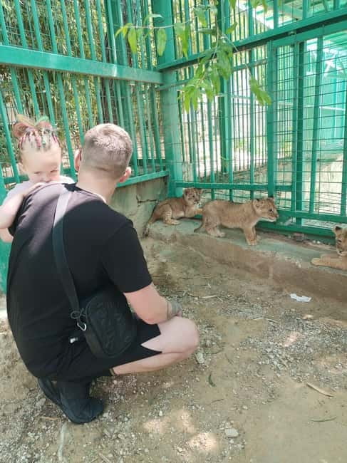 From Alanya: Lion Safari & Green Canyon Splash Feast w/Lunch - What to bring and what costs extra