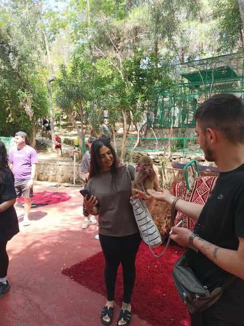 From Alanya: Lion Safari & Green Canyon Splash Feast w/Lunch - The lion safari and optional zoo stop