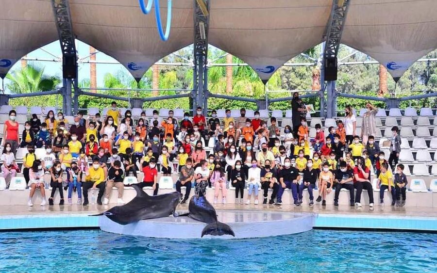 From Belek: Dolphin Show with Transfers - How much value do you get for $47?