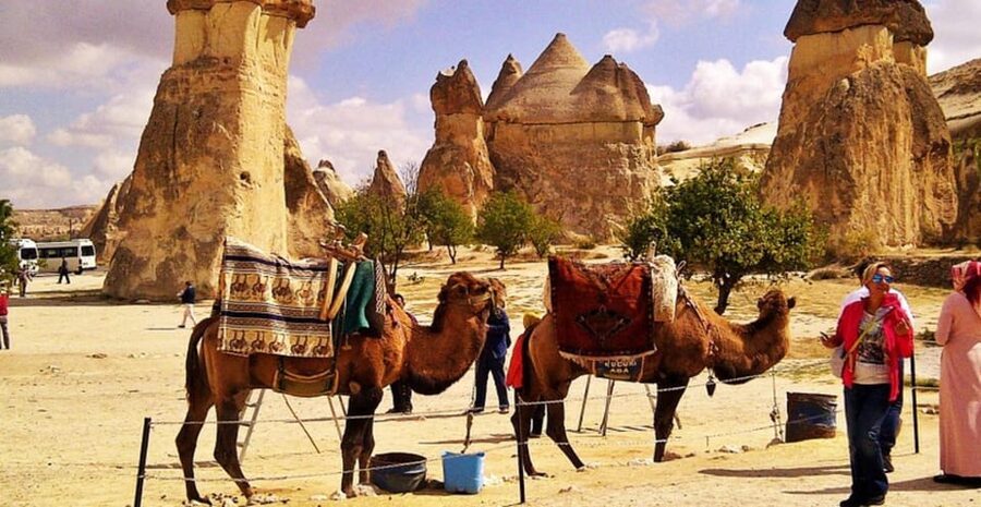 From Cappadocia: Sunrise or Sunset Camel Riding Day Trip - Key points to know before you book