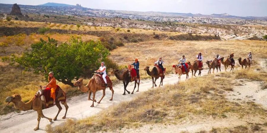 From Cappadocia: Sunrise or Sunset Camel Riding Day Trip - Who will enjoy this two-hour outing?
