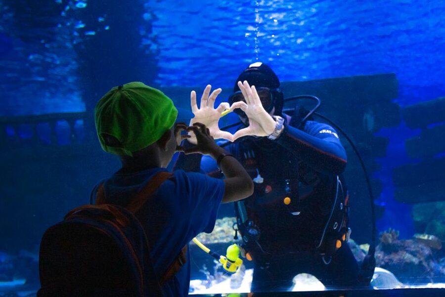 From City of Side: Antalya Aquarium Tour, Ticket & Transfer - From Side to Antalya, a full day on the road