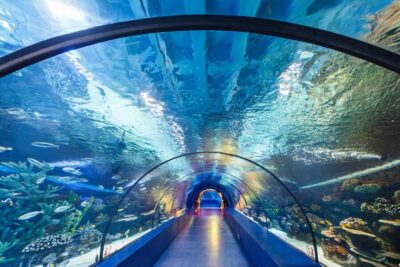 Antalya Aquarium Tour, Ticket & Transfer