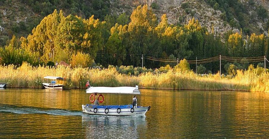 From Fethiye: Dalyan Day Trip with Mud Bath and Turtle Beach - Seeing the Caunos rock-cut tombs from the river