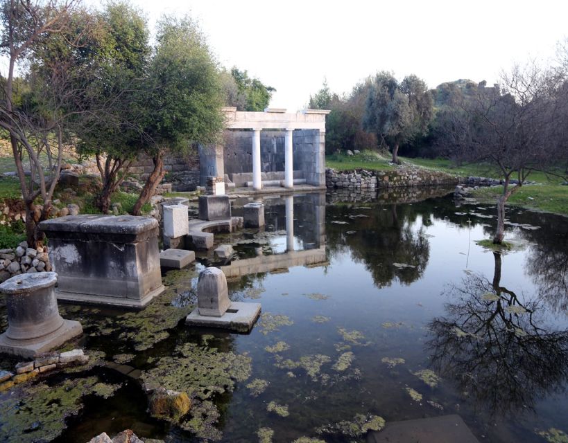 From Fethiye: Dalyan Day Trip with Mud Bath and Turtle Beach - What the $65 price really covers
