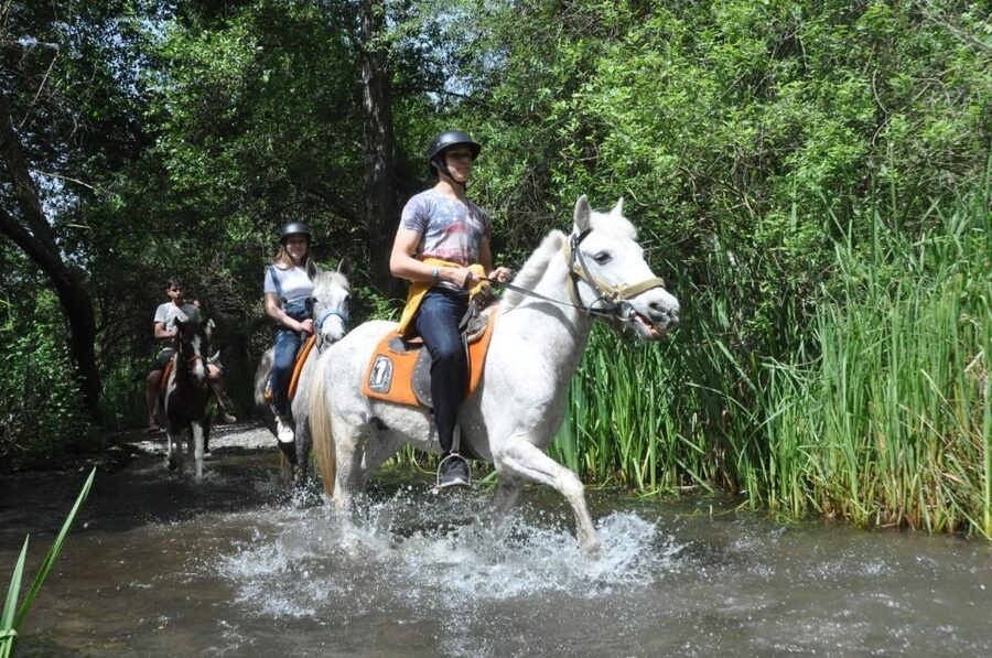 From Fethiye: Horse Riding Adventure - Leaving Fethiye for the pine forests