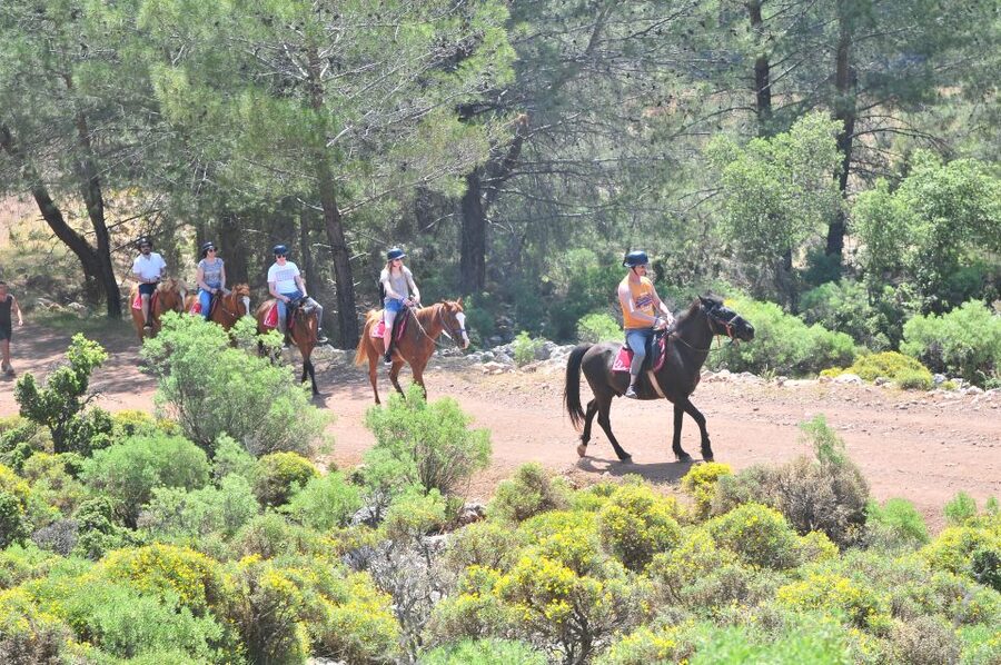 From Fethiye: Horse Riding Adventure - Riding for 1.5 hours through the countryside