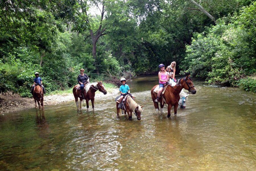 From Fethiye: Horse Riding Adventure - Should you book the Fethiye horse-riding adventure?