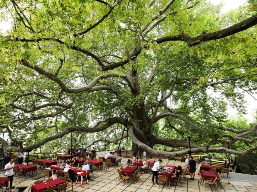 From Istanbul: Bursa Day Trip with Lunch and Transfers - Who will enjoy this day trip most