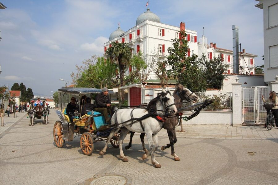 From Istanbul: Full-Day Princes Island Tour with Lunch - Büyükada is the main reason to take the trip