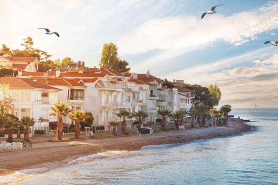 From Istanbul: Full-Day Princes Island Tour with Lunch - The return cruise is part of the value