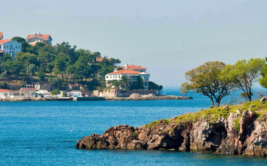 From Istanbul: Full-Day Princes Island Tour with Lunch - Seasonal changes affect the day