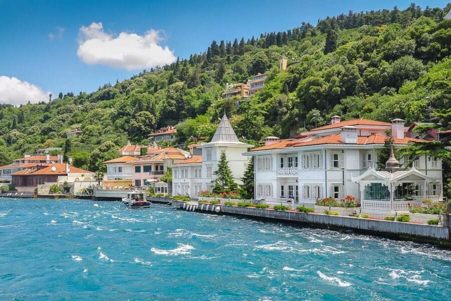 From Istanbul: Full-Day Princes Island Tour with Lunch - Should you book this Princes Island tour?