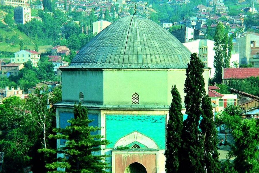 From Istanbul: Full-Day Tour to Bursa - The 600-year-old tree and the return journey