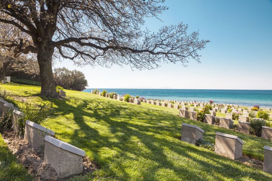 From Istanbul: Gallipoli and Anzac Full-Day Tour - Who should book this tour