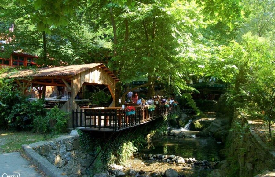 From Istanbul: Guided Day Trip to Sapanca and Masukiye - Key points to know before booking