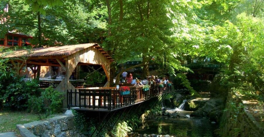 From Istanbul: Guided Day Trip to Sapanca and Masukiye - What this day trip is really like