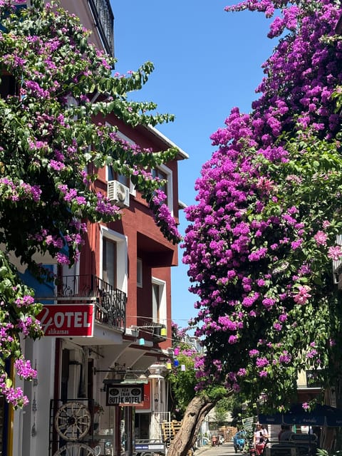 From Istanbul: Princess Islands Guided Tour - The return ride and the shape of the day