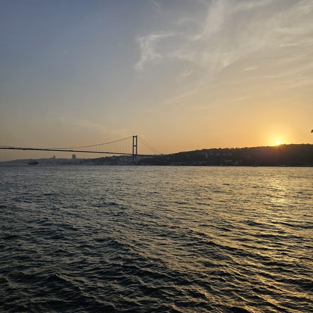 From Istanbul: Princess Islands Guided Tour - Who should book this Princess Islands trip?