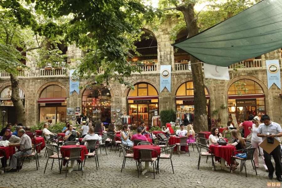 From Istanbul: Private Bursa City Day Trip - The 600-year-old pine tree and Bursa’s green side