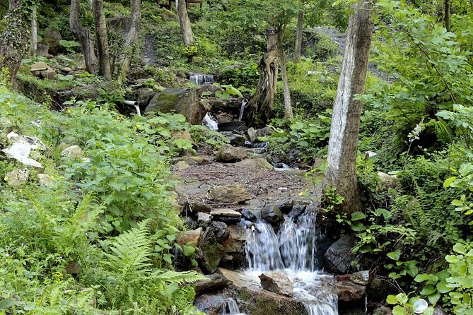 From Istanbul: Sapanca and Masukiye Day Trip with Lunch - Lunch near the waterfall or lake