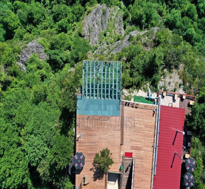 From Istanbul: Sapanca & Maşukiye Full-Day Tour with Lunch - The morning ride and the Darica Zoo stop