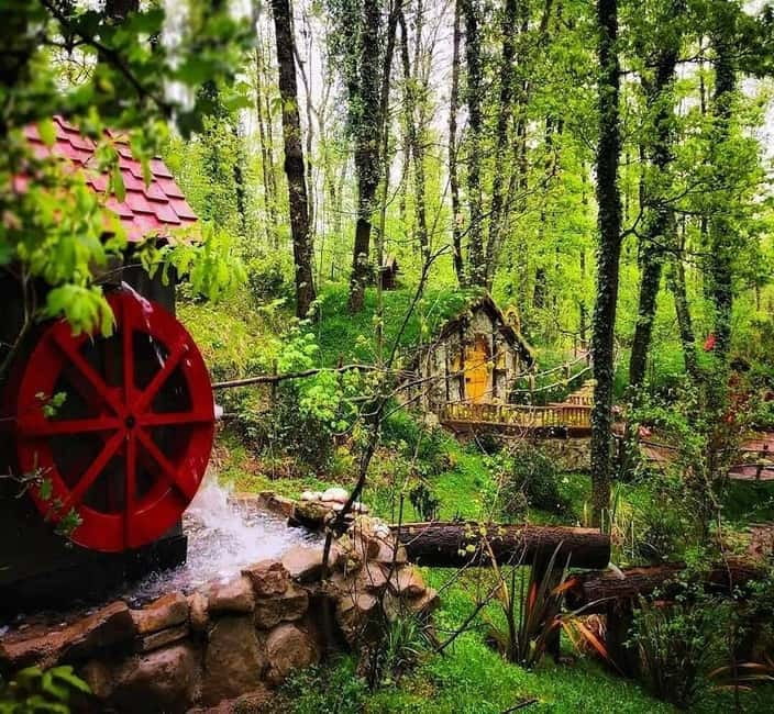 From Istanbul: Sapanca & Masukiye Tour with Lunch - Who should book this Sapanca day trip?
