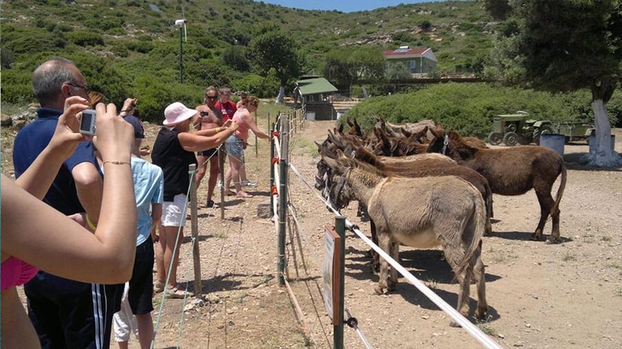 From Izmir: Full Day Boat Trip around Cesme with BBQ Lunch - Boarding the boat and finding your place