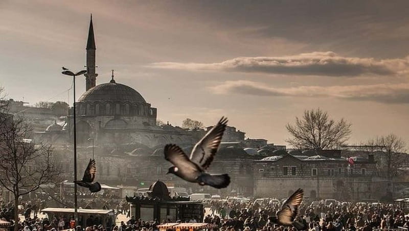 Full Day Istanbul 1, 2 or 3-Day Private City Guided Tour - Why a private Istanbul plan can work so well