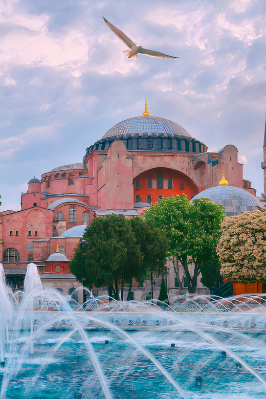 Istanbul: 1 or 2-Day Private Guided Tour with Hotel Transfer - One day in Istanbul: the imperial core