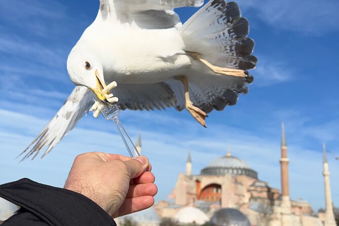 ISTANBUL BEST: Iconic Landmarks Full Day PRIVATE Guided City Tour - Key points to know before booking