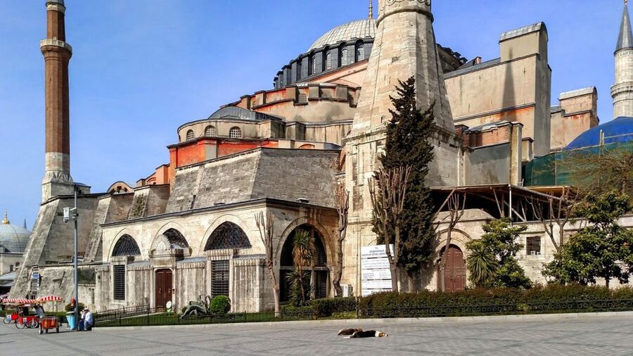 Istanbul: Blue Mosque & Hagia Sophia Guided Tour w/ Tickets - Who will enjoy this tour most