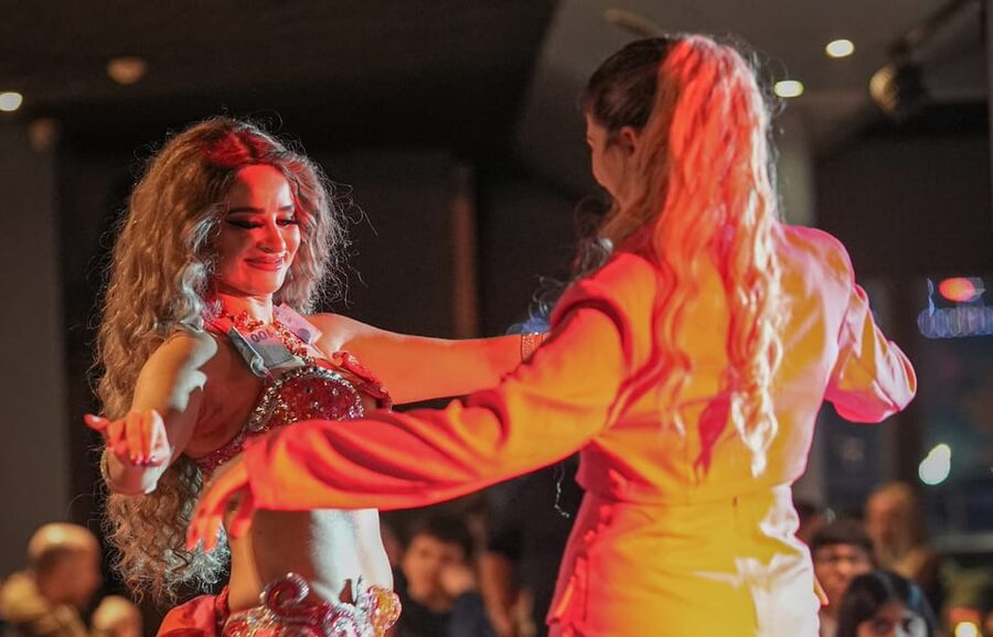 Istanbul: Bosphorus Cruise with Dinner Show - Should you book the Bosphorus dinner show?