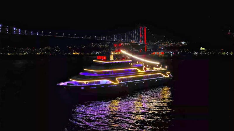 Istanbul: Bosphorus Dinner Cruise & Show with Private Table - What the Bosphorus dinner cruise is really like