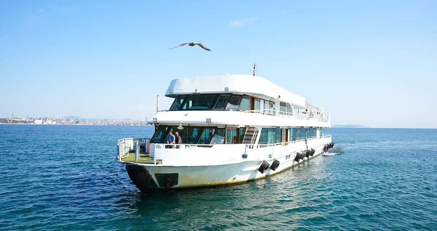 Istanbul: Bosphorus & Golden Horn Cruise Daytime or Sunset - Passing under the Bosphorus Bridge