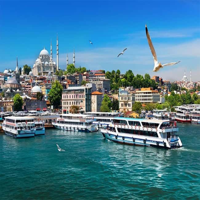 Istanbul Bosphorus Morning Cruise Guided Tour - Why a morning on the Bosphorus works so well