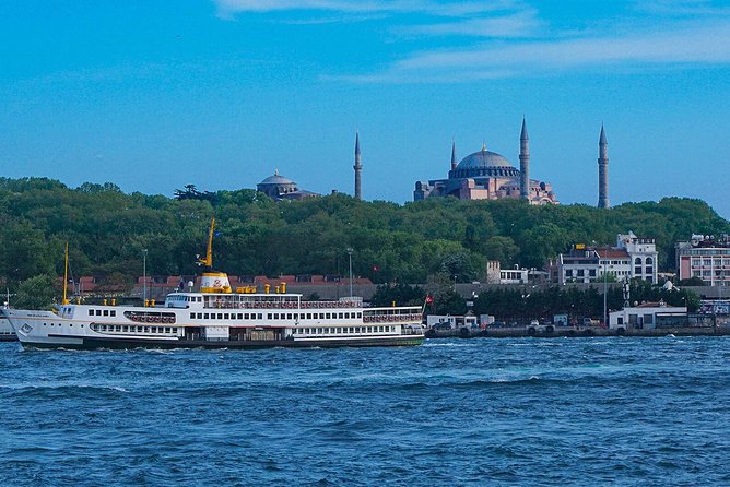 Istanbul Bosphorus Sightseeing Cruise - Palaces, mosques, and waterfront homes along the European shore