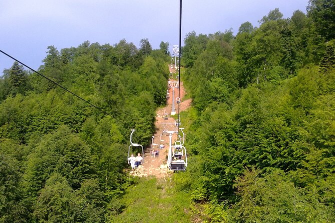 Istanbul: Bursa & Uludag Tour with Lunch & Cable Car Option - The 600-year-old plane tree and mountain-road lunch