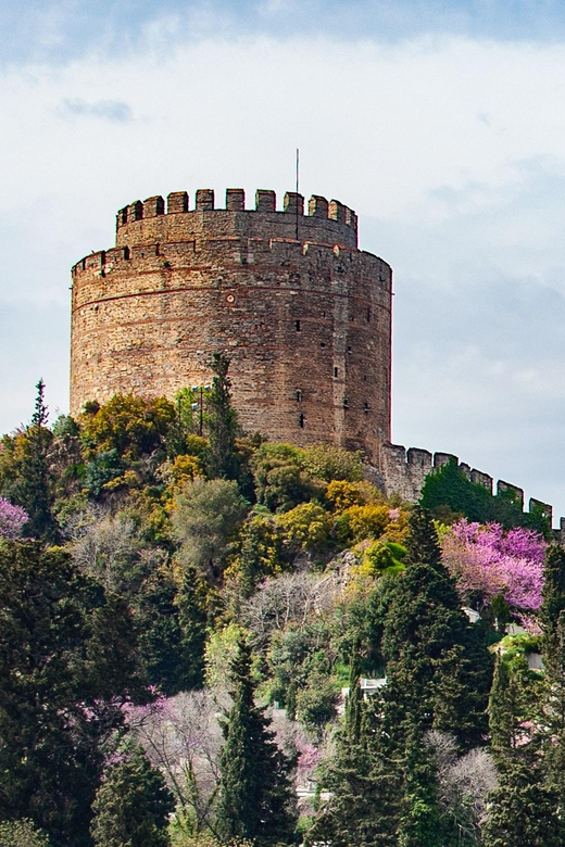 Istanbul: Morning or Sunset Cruise with Guide and Snacks - From Dolmabahçe to Ortaköy