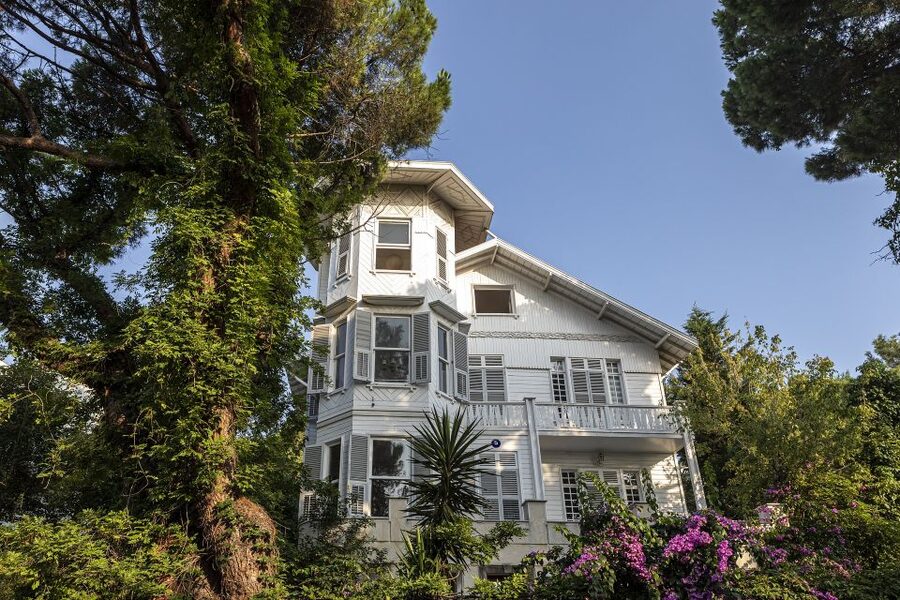 Istanbul: Princes' Islands Cruise w/Music, Lunch & Transfer - What the $34 price really buys you