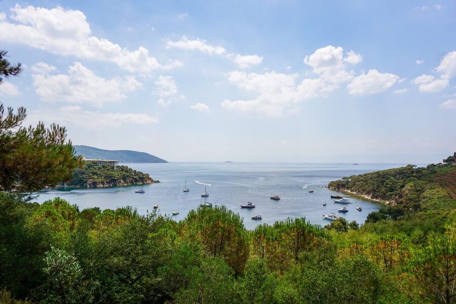 Istanbul: Princes' Islands Cruise w/Music, Lunch & Transfer - Kınalıada offers a quick first look