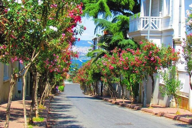 Istanbul: Princes Islands Tour with Heybeliada and Buyukada - Swimming in summer, cafés in cooler months