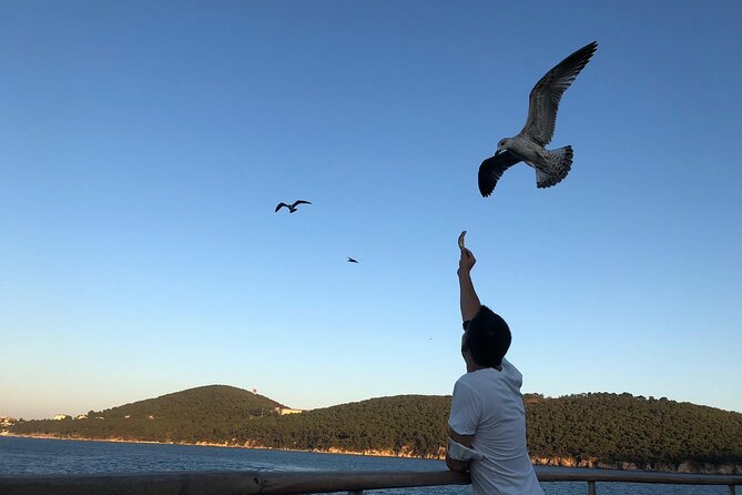 Istanbul: Princes Islands Tour with Heybeliada and Buyukada - The return crossing is more than a transfer