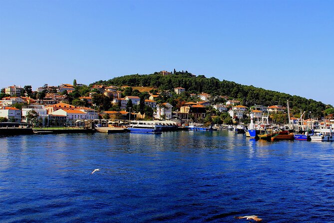 Istanbul: Princes Islands Tour with Heybeliada and Buyukada - The shopping stop and the real value of the tour