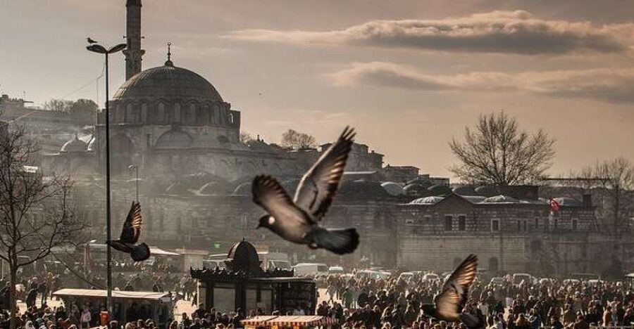 Istanbul: Private Full-Day Old City Highlights Tour - Topkapi Palace: two hours with the Ottoman court