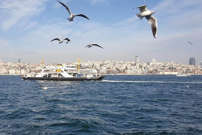 Istanbul Private Guided Tour for Layover Flight. Transfer incl. - Crossing the Bosphorus to Kadıköy