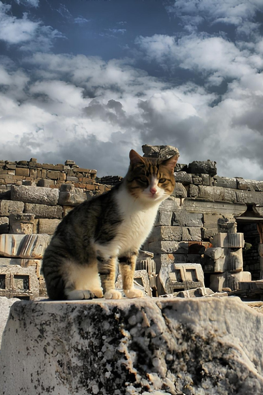Izmir : Ephesus and Sirince Guided Tour - Three hours among the streets of Ephesus